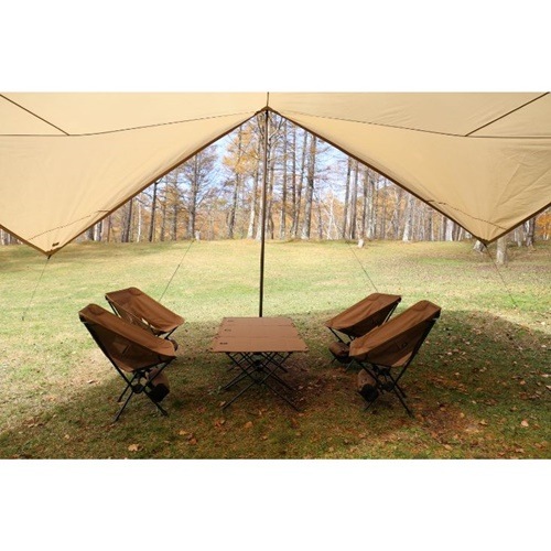 新品未使用】ゼインアーツ・ゲウ TP-003