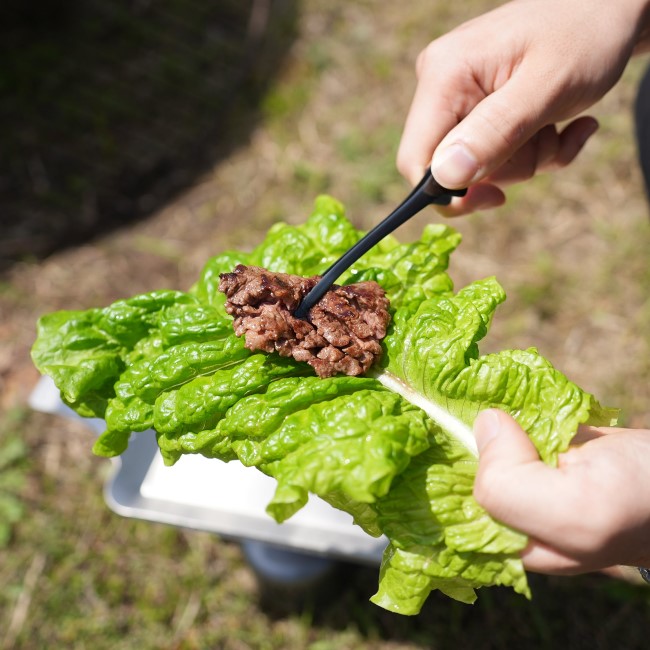 �ե��ǥ� FEDECA ���졼�С��ȥ� mini ��åץ�֥�å�