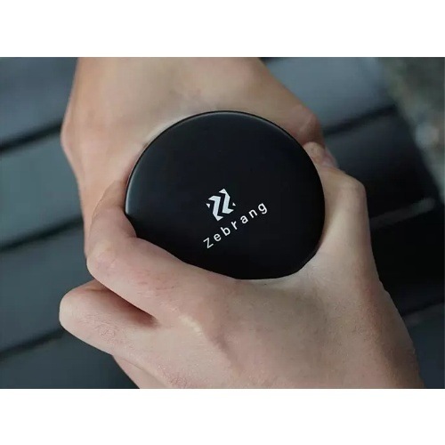 ���֥�� Zebrang �����ҡ�����˥�����50G