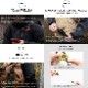 ROOT CO. �롼�ȥ���  GRAVITY MAG REEL 360