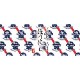 �ۤ�ˤ� �� Pabst Blue Ribbon ���ꥳ��ܥ�ǥ�