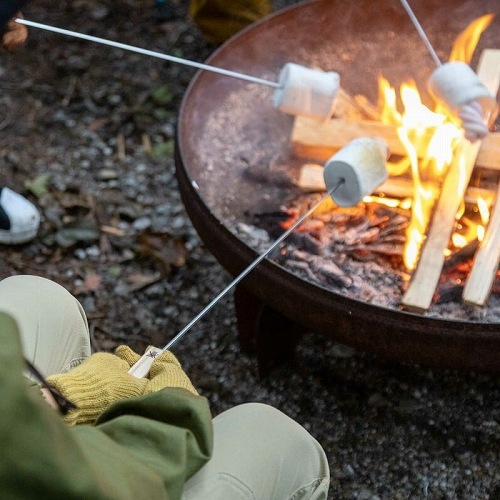 �ե����䡼������ FIRESIDE ʲ���ж�