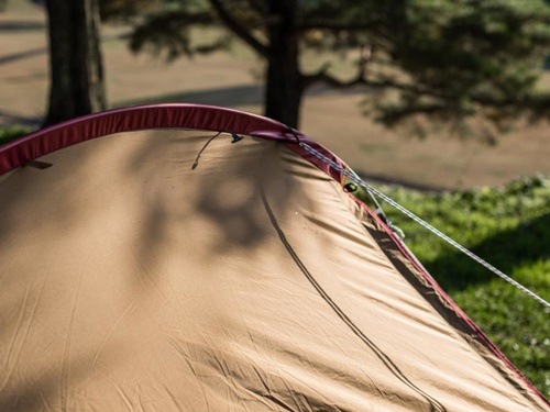 Ρԡ snow peak ȥ꡼ѥåTT