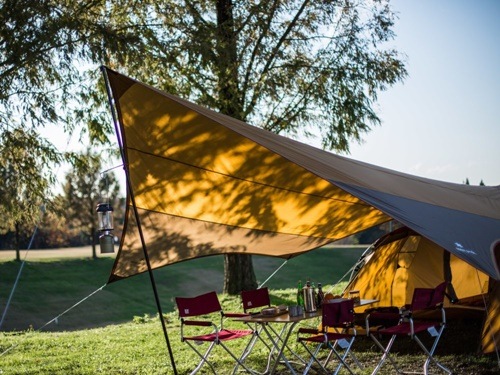 Ρԡ snow peak ȥ꡼ѥåTT