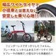 MG-FCP16RD-OP ミムゴ 16インチ 折畳み自転車 FIELD CHAMP メーカー直送