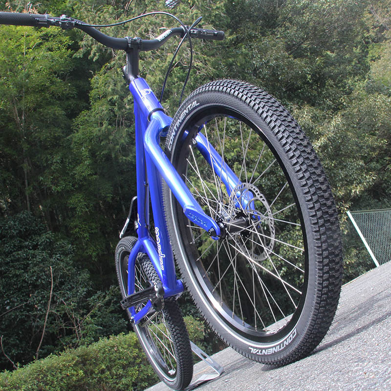 新車 フレーム Inspired 24インチ Inspired - FLOW XP 24-GOLDRUSH AJITO