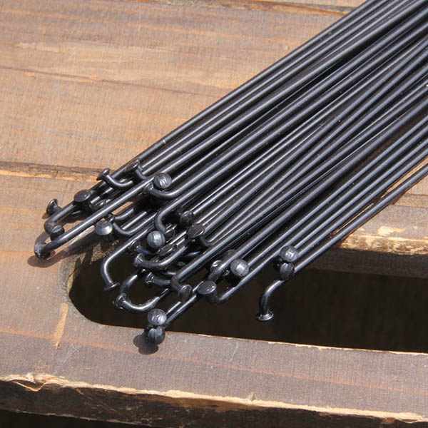 ò  HOSHI - ֥饤 [֥å] [#15]