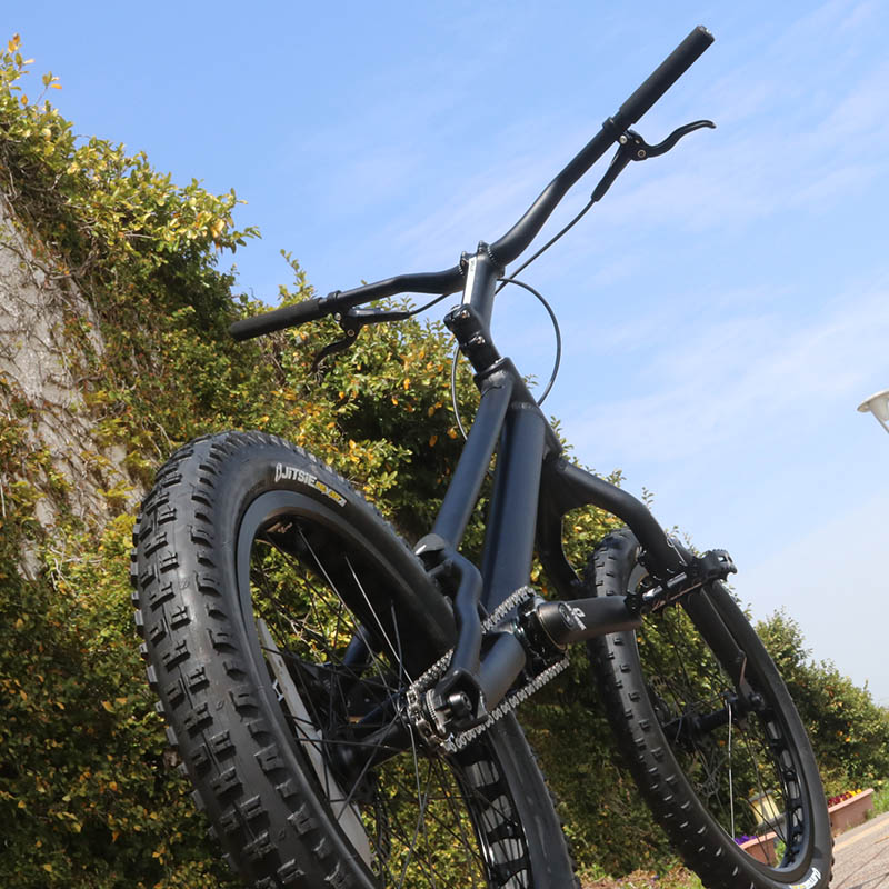 自転車 jitsie VARIAL 5% OFF!] JITSIE - VARIAL 20 | すべての商品 | GOLDRUSH AJITO