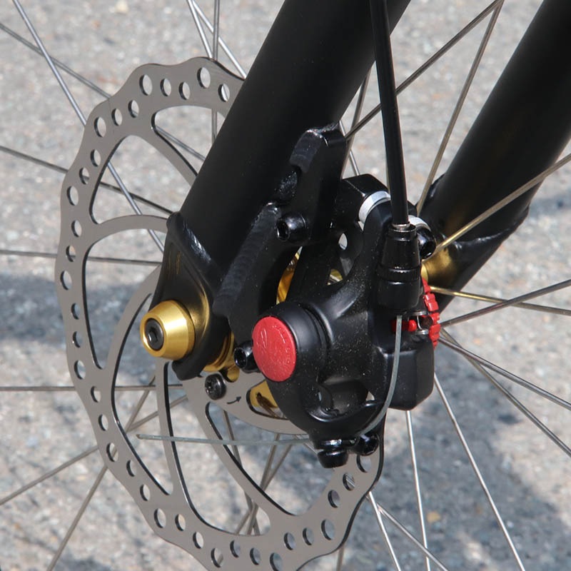 [35% OFF!] �ڥ������ॹ�ڥå��� B1K3 - EKLIPSE