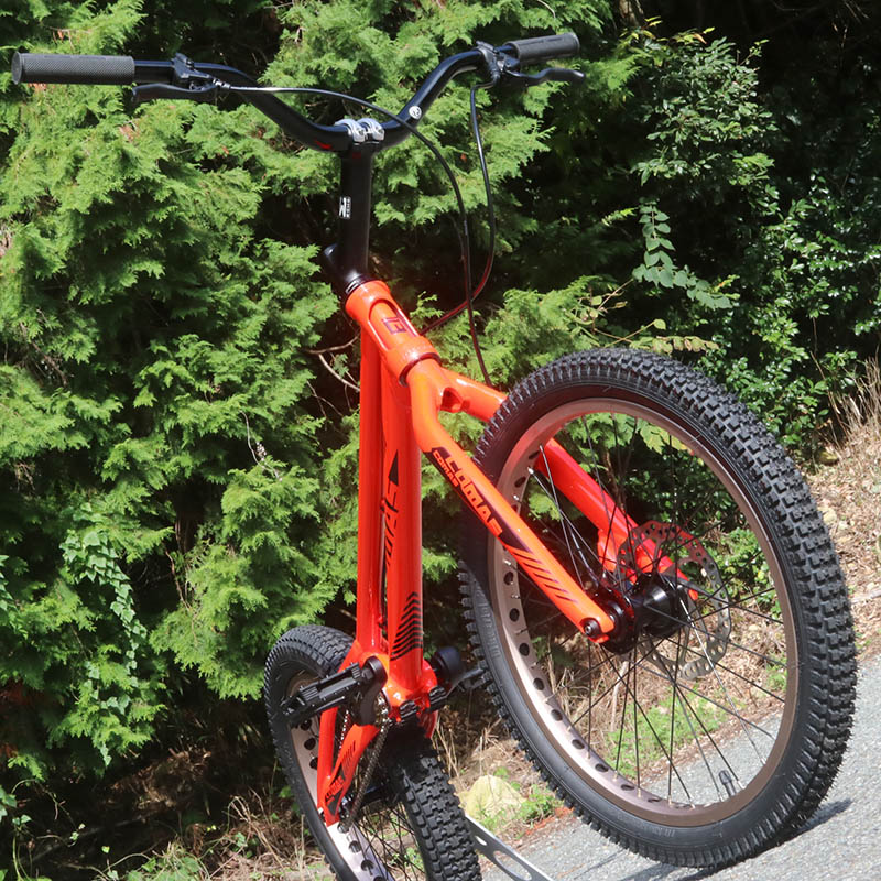 [20%OFF!] COMAS - Entry