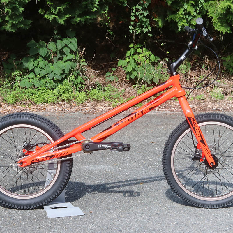 [20%OFF!] COMAS - Entry