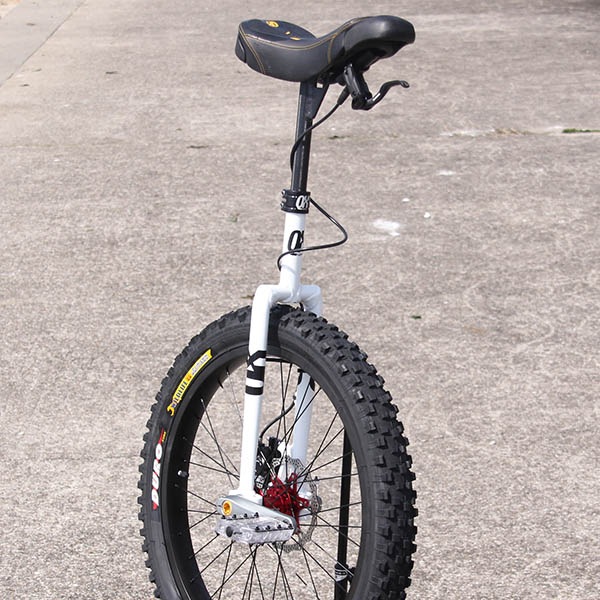 QU-AX - Q-AXLE Disk [24inch]