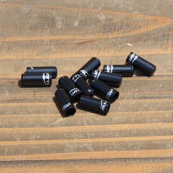 Alligator ����������������å�