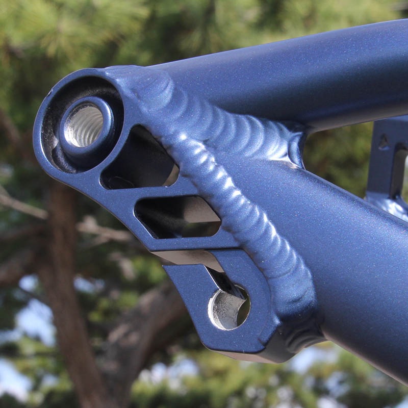 [20% OFF!] OZONYS - CURVE20 [AS30]