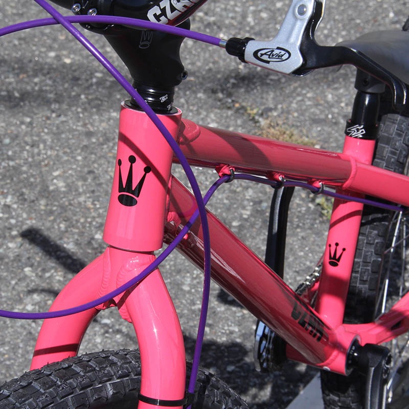 Alligator - Super Fortress