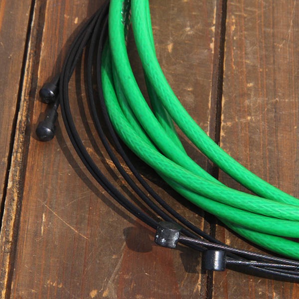 Alligator - Super Fortress