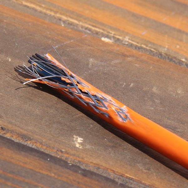 Alligator - Super Fortress