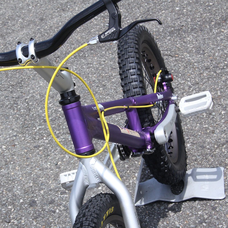 Alligator - Super Fortress