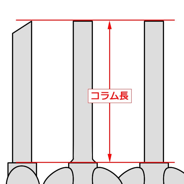 ��������ȡ��ե���ȥե����������� [�ե���ȥե�����Ʊ������]