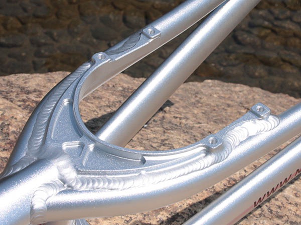 [20% OFF!] NEON - WING 26in