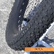 Nimbus - Muni [29inch]