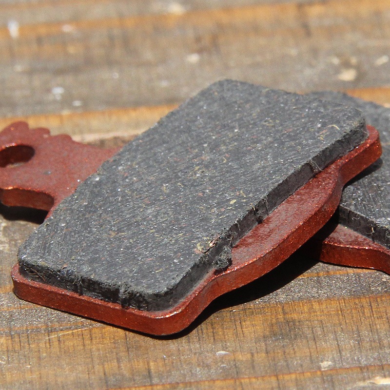 Alligator - EXTREME �����ܥ�ѥå�