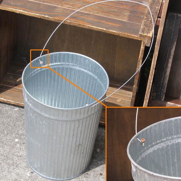 Alligator - �ͥ��ߤᡡ������