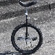 UDC - Club Muni [24inch]
