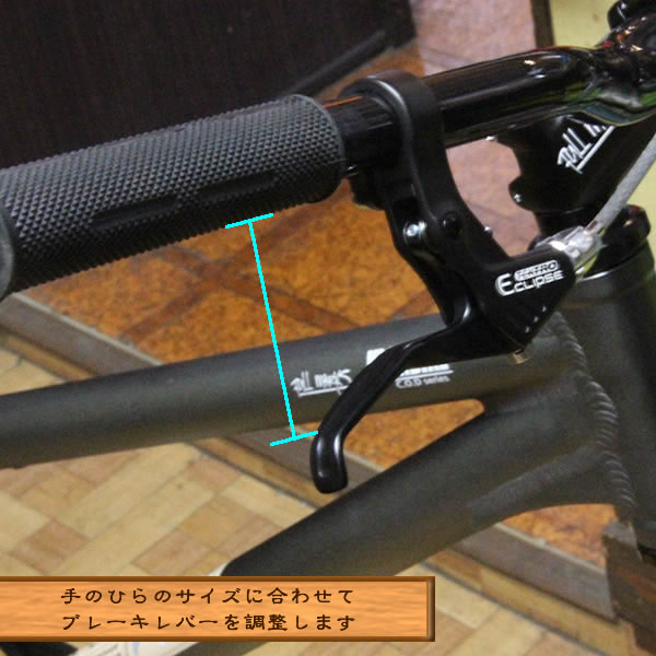 ��EXTENTION�۴����֥��åȥ��åס�[�����ǥ�����]���ڥ������ѡ����ȡ�