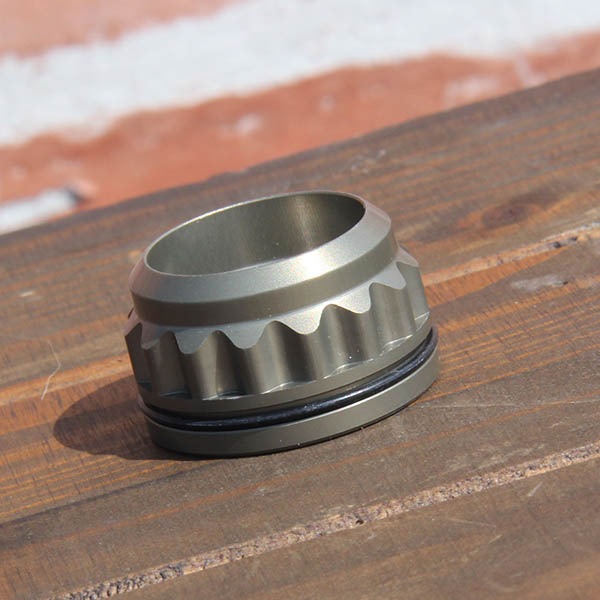 Inspired - �ե���ȥ��롼�������륷��ե��ѥʥå� [SKYE v3]