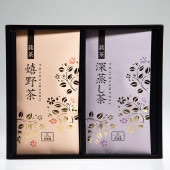 ��µ��J-16��