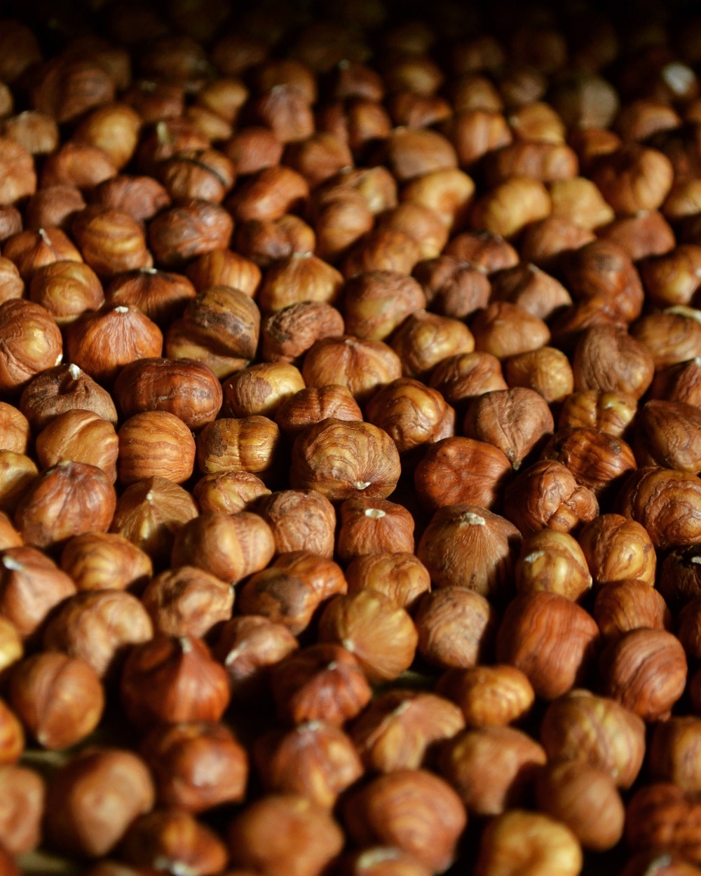 オーガニック ヘーゼルナッツ　生　150g～  ヨーロッパBio認証　2024年秋収穫　Tonda Gentile Romana種　　Sgusciate