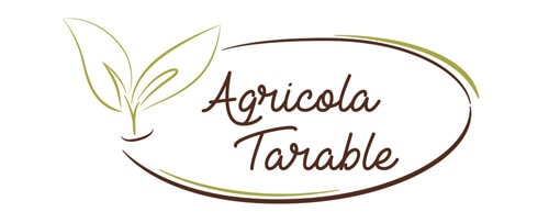 オーガニックヘーゼルナッツ 150ｇ～ 皮付き生 ヨーロッパBio認証　2024年秋収穫　ピエモンテIGPヘーゼルナッツ Sgusciate