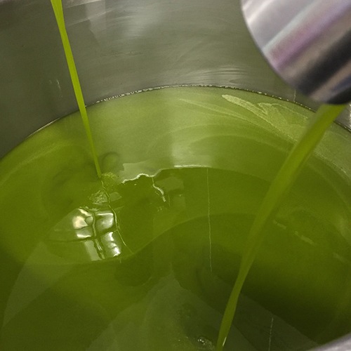 【2025年ノヴェッロ 12本限定】ザハラ オーガニックエキストラヴァージンオリーブオイル 搾りたて空輸 250ml