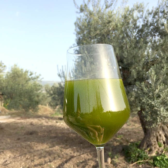 【2025年ノヴェッロ 12本限定】ザハラ オーガニックエキストラヴァージンオリーブオイル 搾りたて空輸 250ml