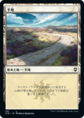��JP�ۡ�ʿ��/Plains(451)����CLB�ۡ�����/L��