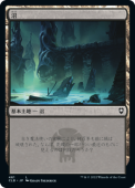 ��JP�ۡ���/Swamp(461)����CLB�ۡ�����/L��