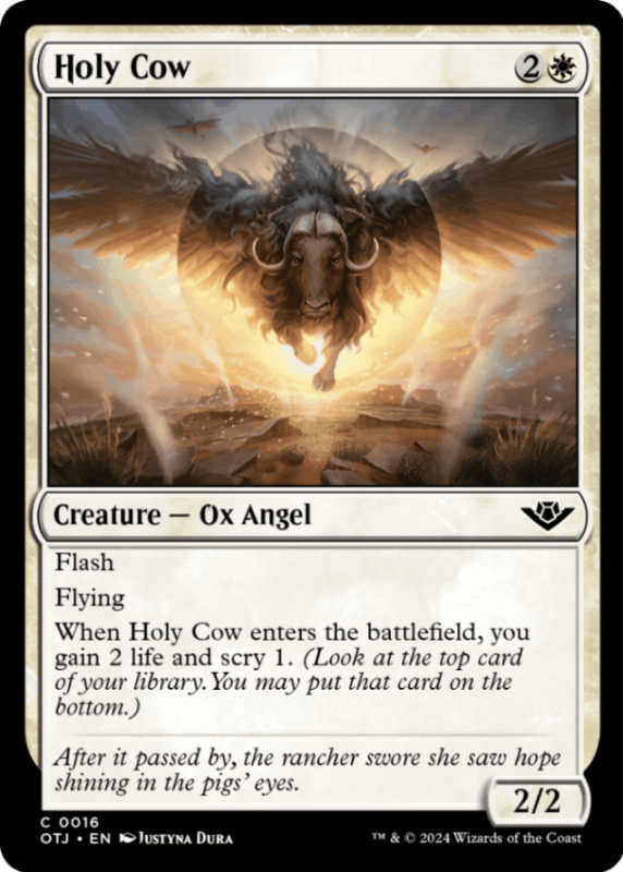 ��EN�ۡ����ʤ�����/Holy Cow����OTJ�ۡ���/C��