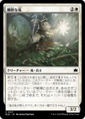 JPۡFoilۡ/Intrepid RabbitBLBۡ/C