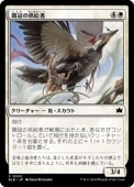 ��JP�ۡ��ܴ��ζ����/Pileated Provisioner����BLB�ۡ���/C��