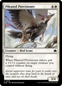 ��EN�ۡ�Foil�ۡ��ܴ��ζ����/Pileated Provisioner����BLB�ۡ���/C��