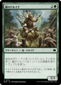 ��JP�ۡ����Υɥ륤��/Druid of the Spade����BLB�ۡ���/C��