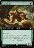 ��JP�ۡڳ�ĥ�ۡ��ꥹ�ξ�����/Scurry of Squirrels����BLC�ۡ���/R��