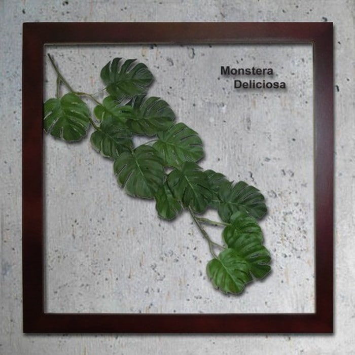 インテリアグリーンアート ForestDeco Monstera インテリアグリーンアート Deliciosa3 ブラウン FD-1003 kar-3060943s1|ふ〜へ|アート・絵画