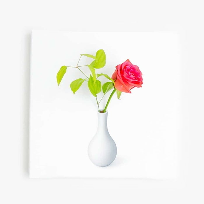 IKEBANA-01-02 生きてるインテリア 30×30×2.7cm アートパネル ファブリックパネル アートボード インテリアパネル 壁掛け 日本製 ラッピング付き lib-IKEBANA-01-