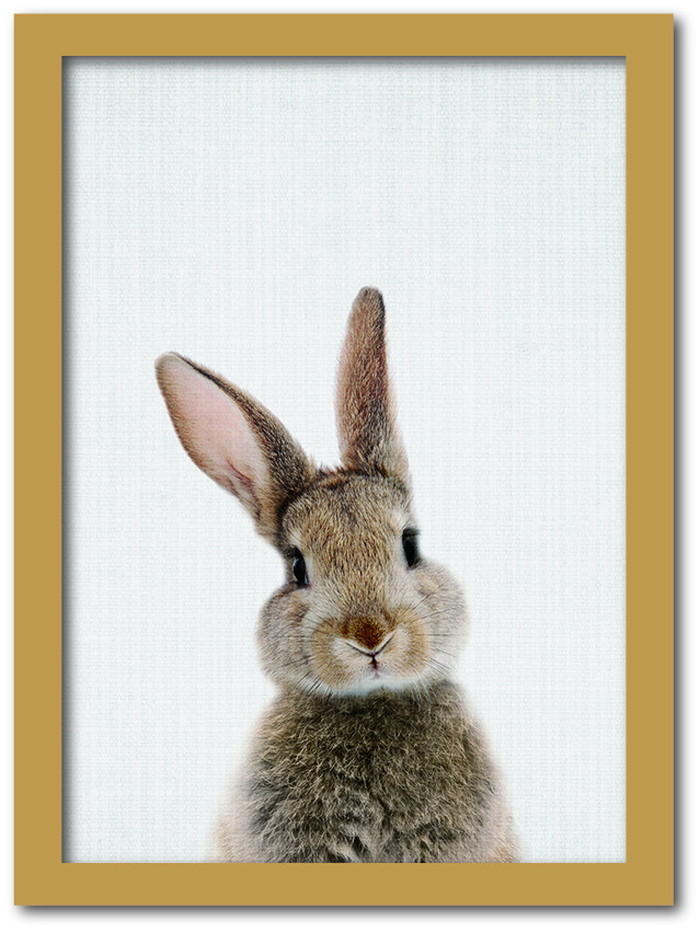 Animal Children series Rabbit ウサギ CB 2001NA フレームカラー：ナチュラル サイズ：A3 kar-8238762s5|あ〜い|アート・絵画