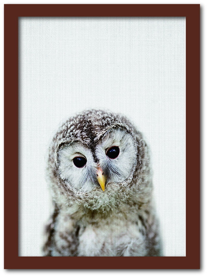 Animal Children series Owl フクロウ CB 2003BR フレームカラー：ブラウン サイズ：A3 kar-8238779s7|あ〜い|アート・絵画
