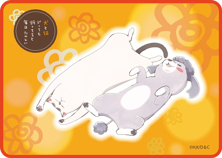 ǭɤääƤΤ Τդդ֥󥱥å