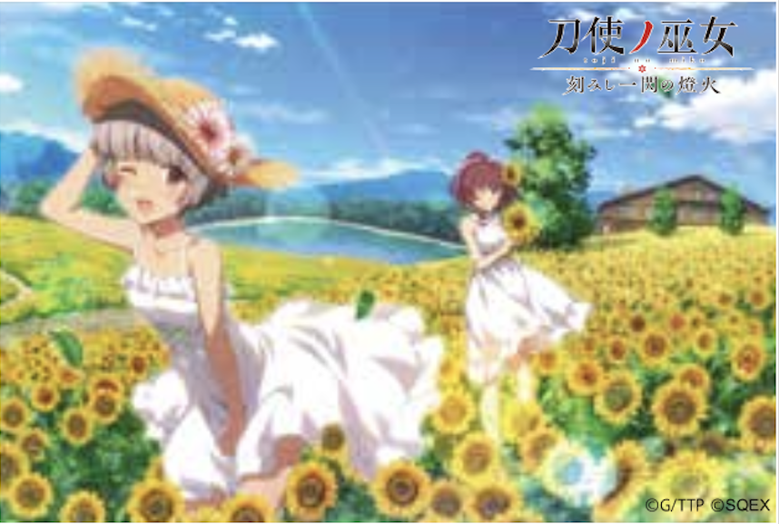 ��ȥ���� �ȥ졼�ǥ��󥰥������ץ졼�ȭ�