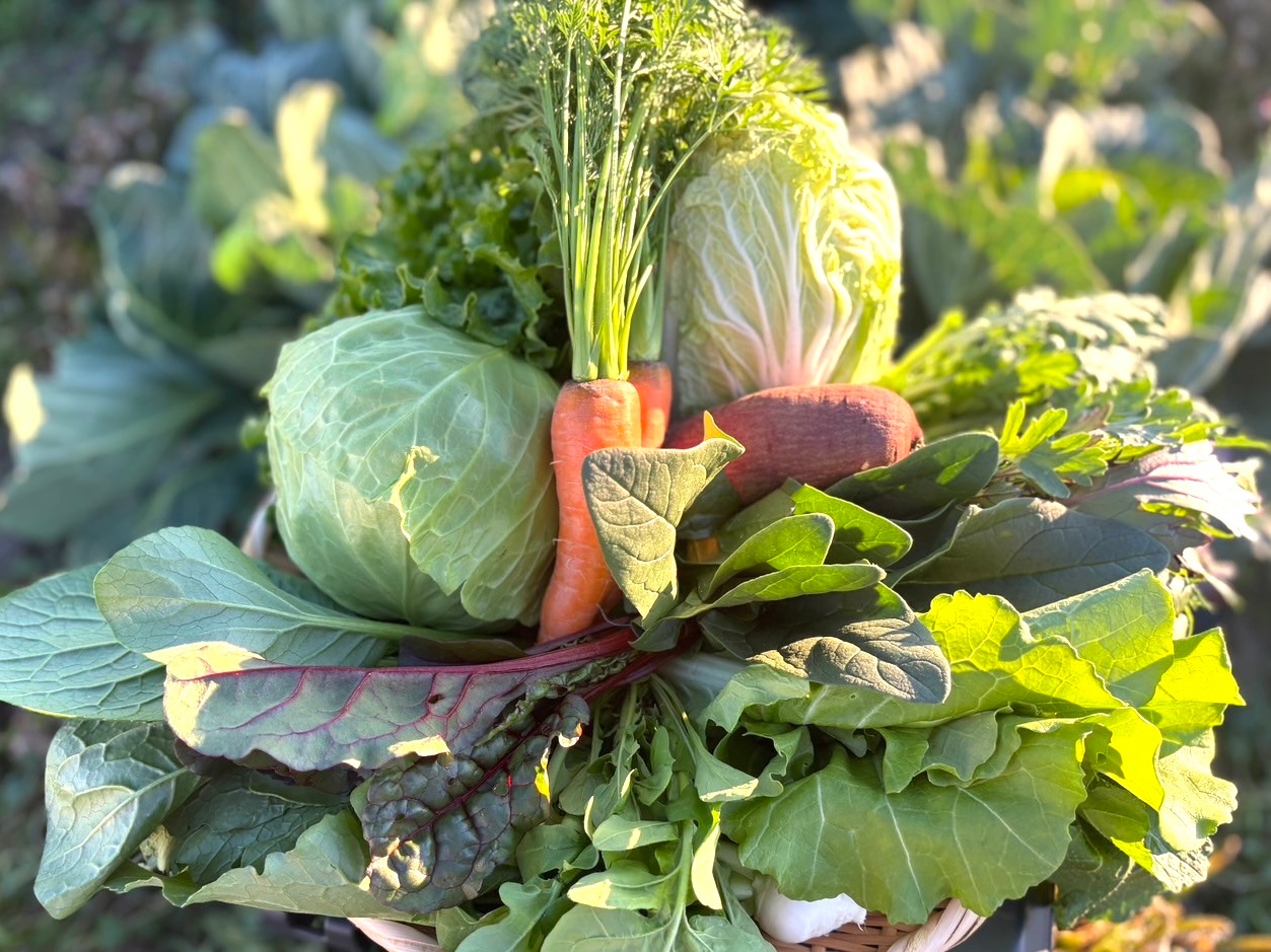 �ǲ� ���ߤå����餷 ���β���Ȥդ���Υ����ߤ䤵�����å�